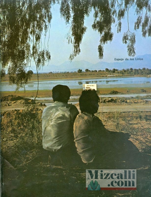 Lago Espejo de Los Lirios 1971