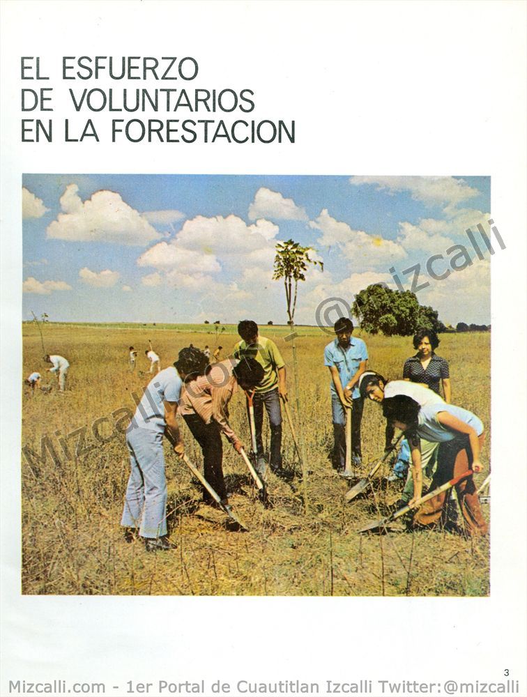 VoluntariosenForestaciondeCuautitlanIzcallien1971.jpg